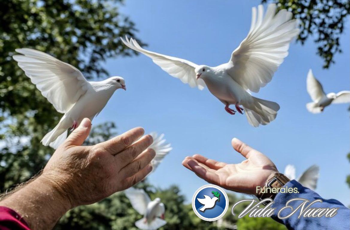 Liberación de palomas blancas en un servicio de despedida de Funerales VidaNueva